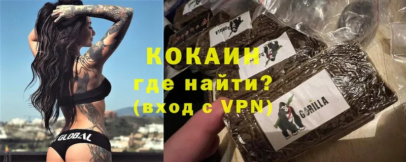 COCAIN Боливия  Волхов 