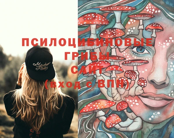 прущая мука Алексин