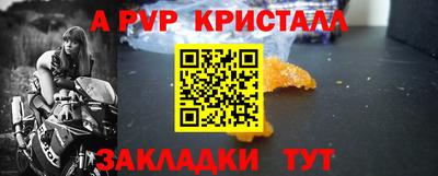прущие грибы Гатчина