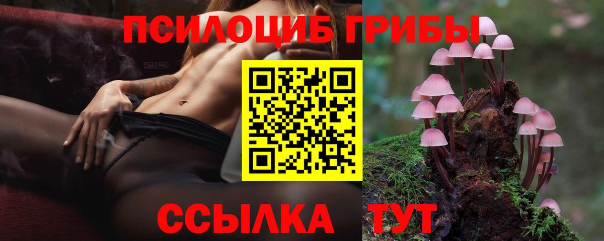 Галлюциногенные грибы MAGIC MUSHROOMS Волхов
