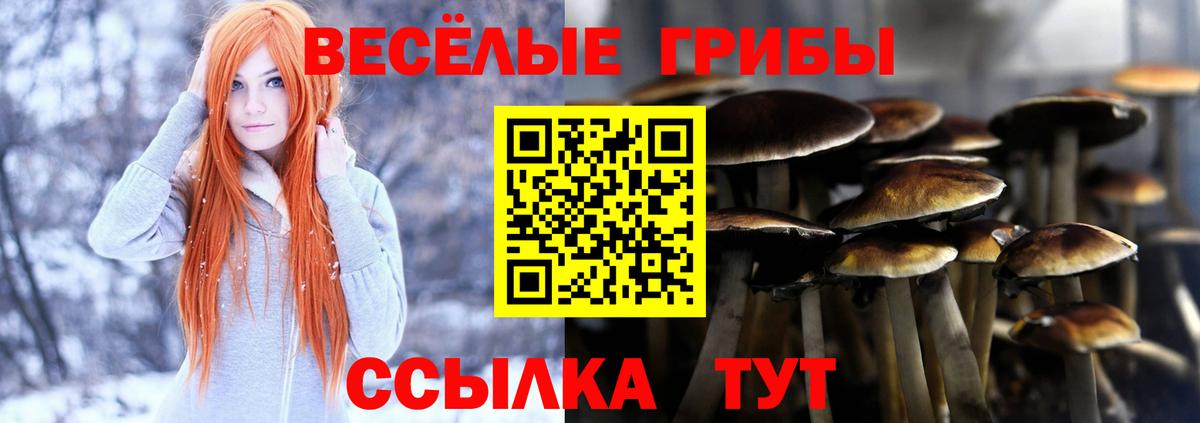Галлюциногенные грибы мицелий  Вход с VPN  Волхов 