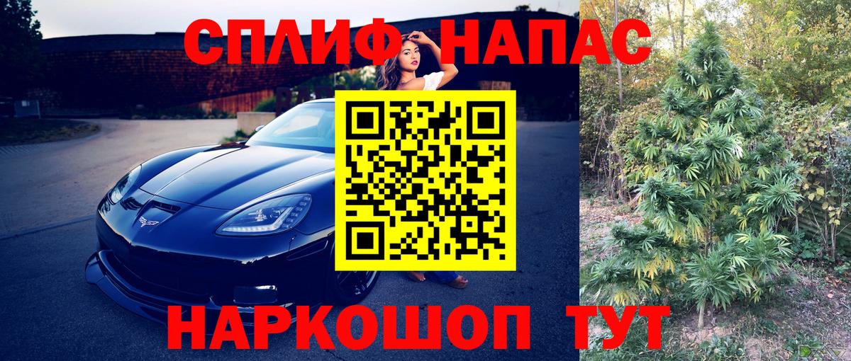 Канабис конопля  Волхов  Конопля THC 21% 